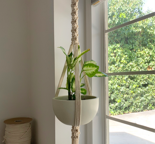 MACRAME PLANT HANGER WORKSHOP - JANUARY 11TH