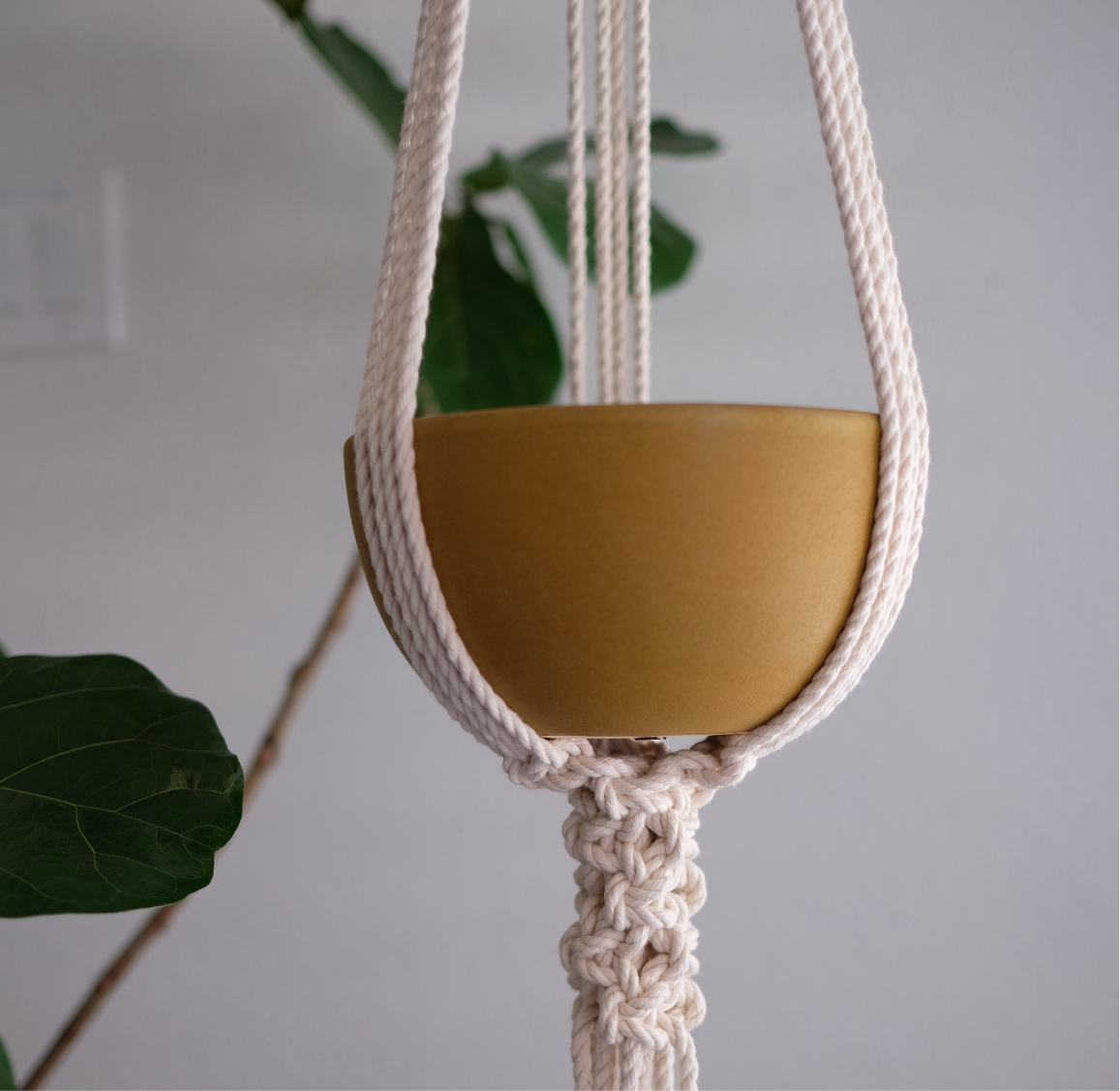 MACRAME PLANT HANGER WORKSHOP - JANUARY 11TH